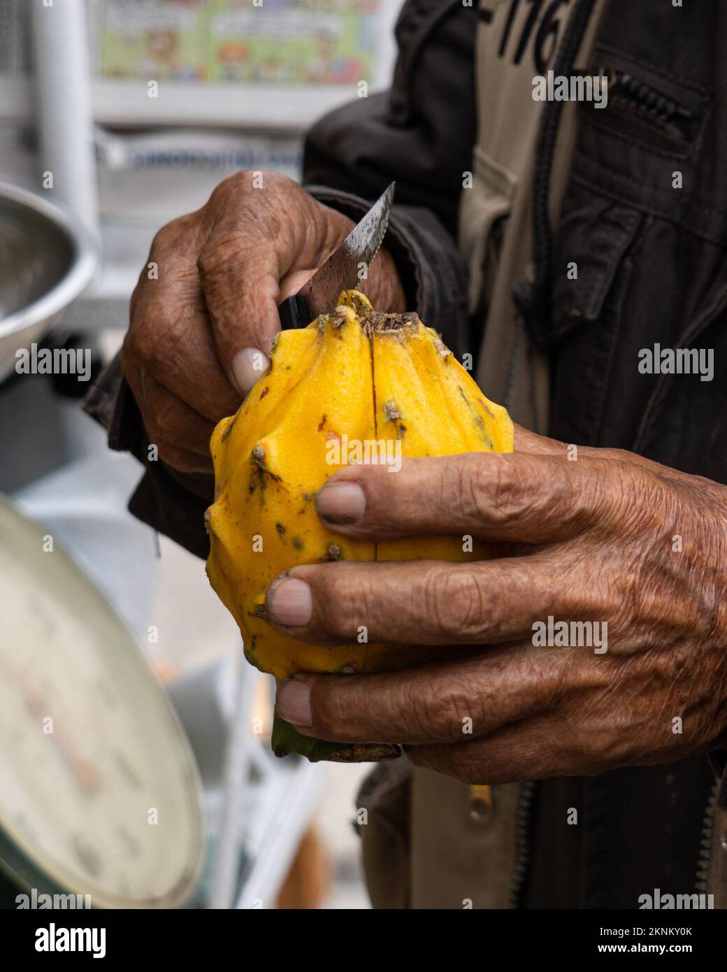 Un primo piano verticale di una mano maschio che taglia un frutto giallo del drago a Lima, Perù Foto Stock