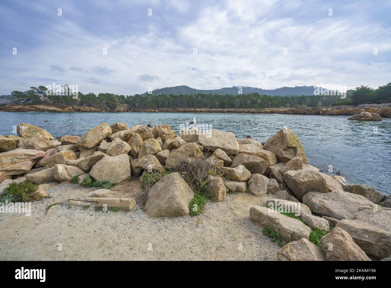 Riserva naturale statale di Point Lobos. Spiaggia rocciosa, foresta di cipressi e Oceano Pacifico, costa centrale della California Foto Stock