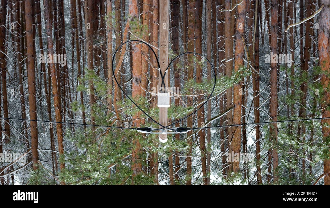 Cavo per telecomunicazioni a forma di cuore di fronte a una foresta invernale Foto Stock