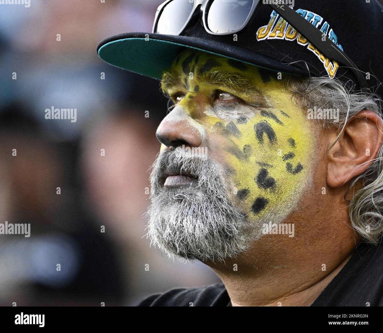 Jacksonville, Stati Uniti. 27th Nov 2022. Un fan di Jaguars guarda i Ravens che si addicono ai Jaguar al TIAA Bank Field di Jacksonville, Florida, domenica 26 novembre 2022. I Jaguar più underdog hanno sconfitto i Ravens 28-27. Foto di Joe Marino/UPI. Credit: UPI/Alamy Live News Foto Stock