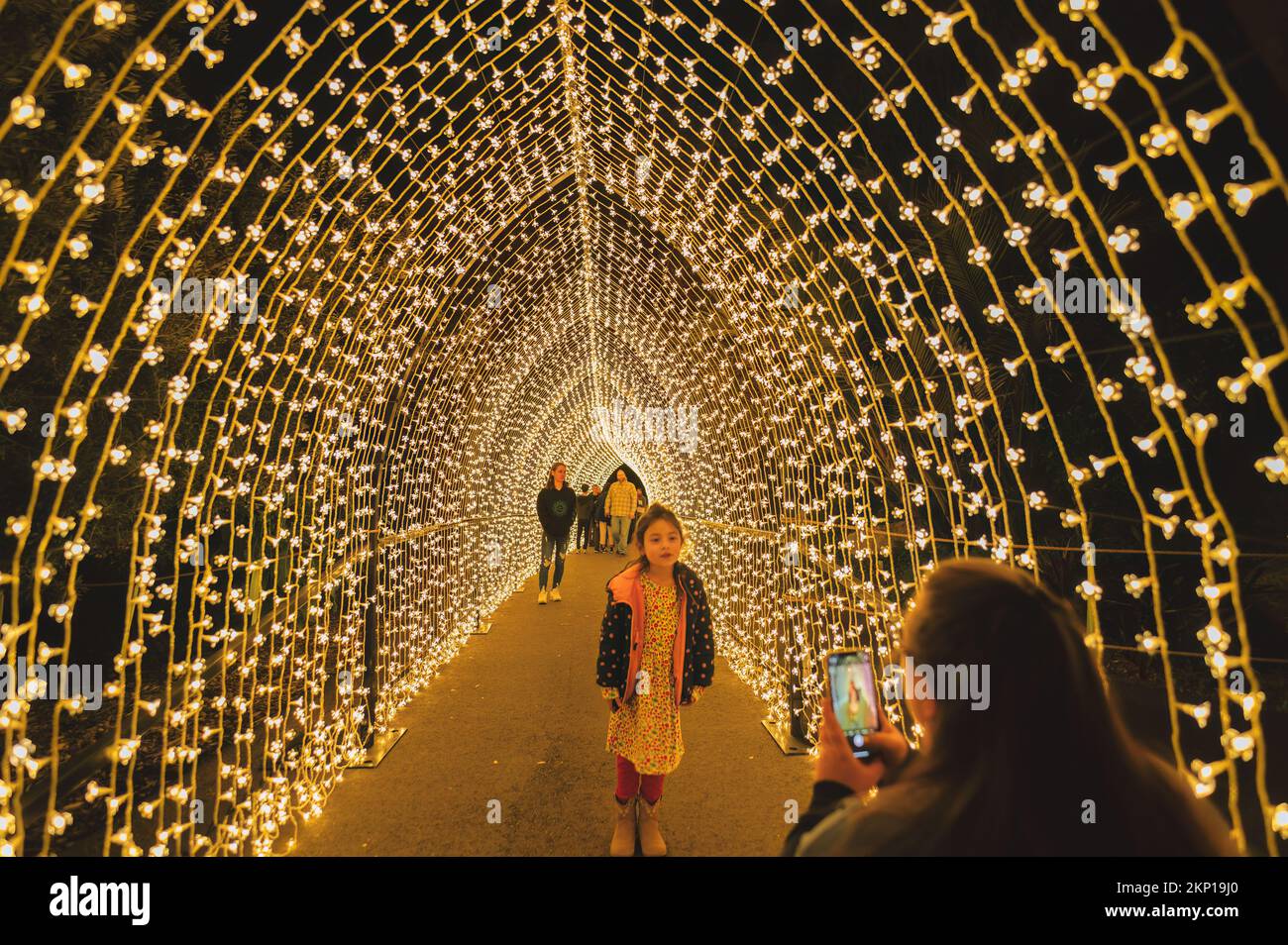 Spettacolo di luci natalizie del giardino botanico di San Diego prodotto da WAD Entertainment e Sony Music Foto Stock