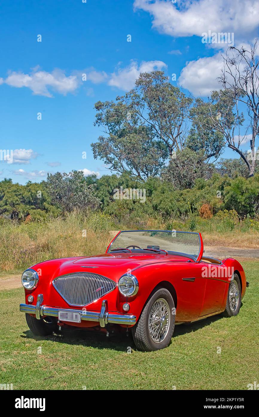 Un'auto sportiva a due posti red1952 Austin Healey 100. Foto Stock