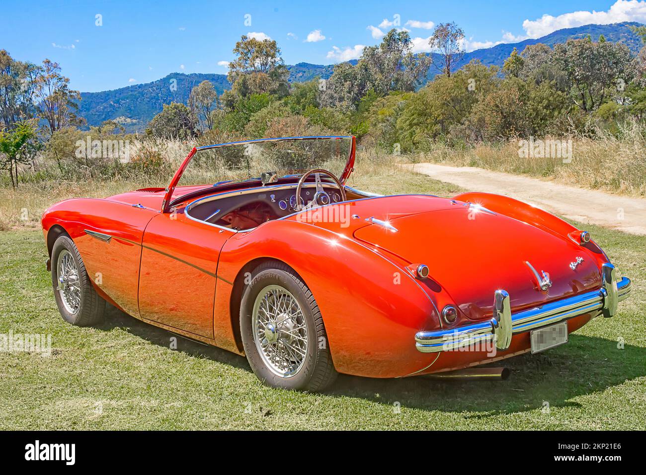 Vista posteriore di un roadster Austin Healey 100 del 1952. Foto Stock