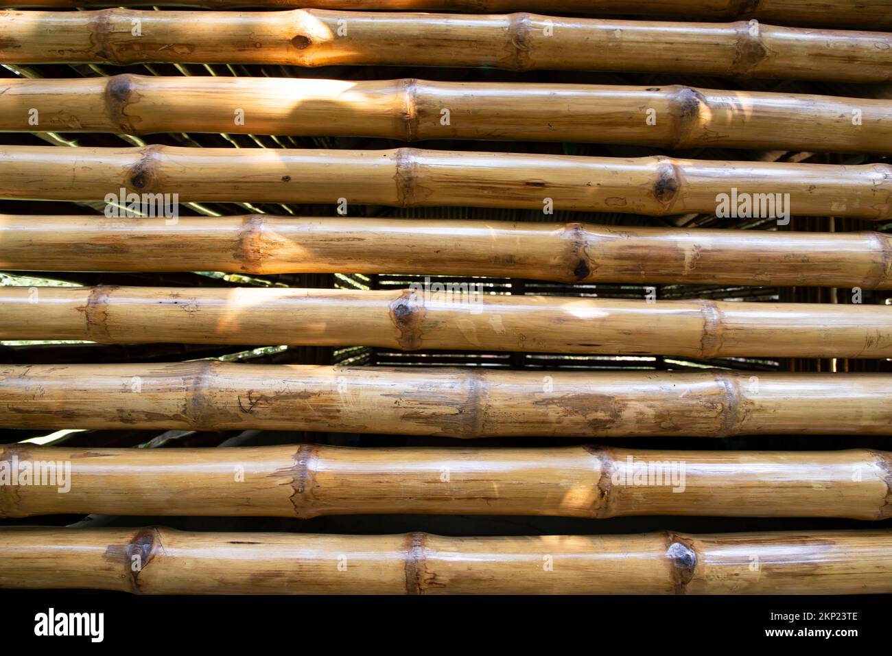 Vernice bambù recinto astratto struttura di sfondo Foto Stock