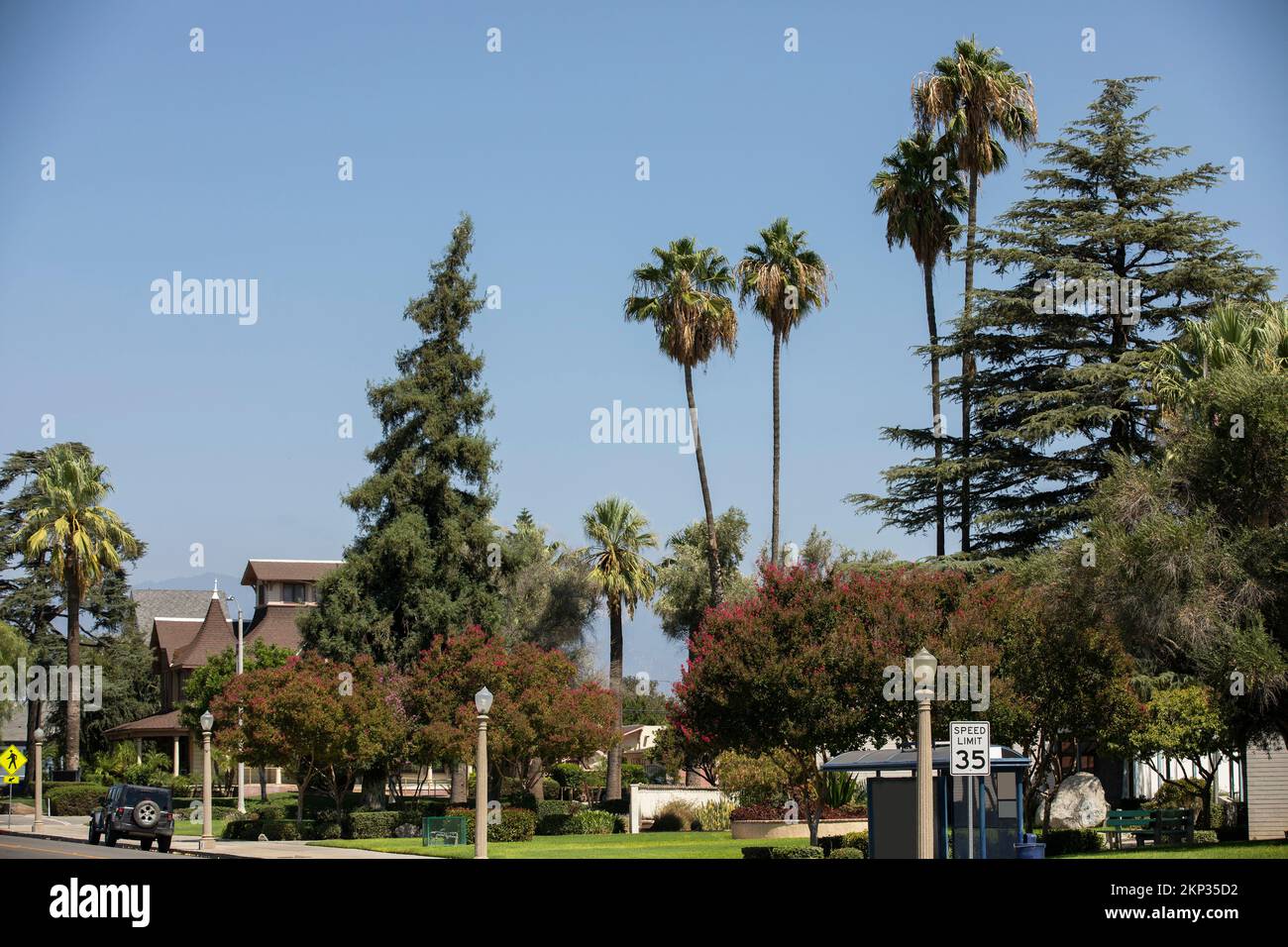 Vista incorniciata da palme del centro storico di Colton, California, Stati Uniti. Foto Stock