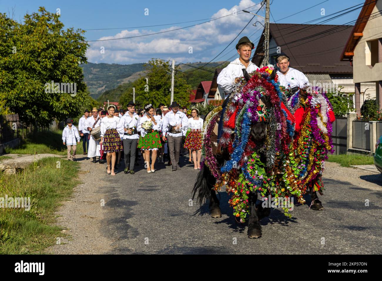 Tradizionale processione di nozze con cavalli decorati attraverso il comune di Sieu, Bistrița-Năsăud, Romania Foto Stock