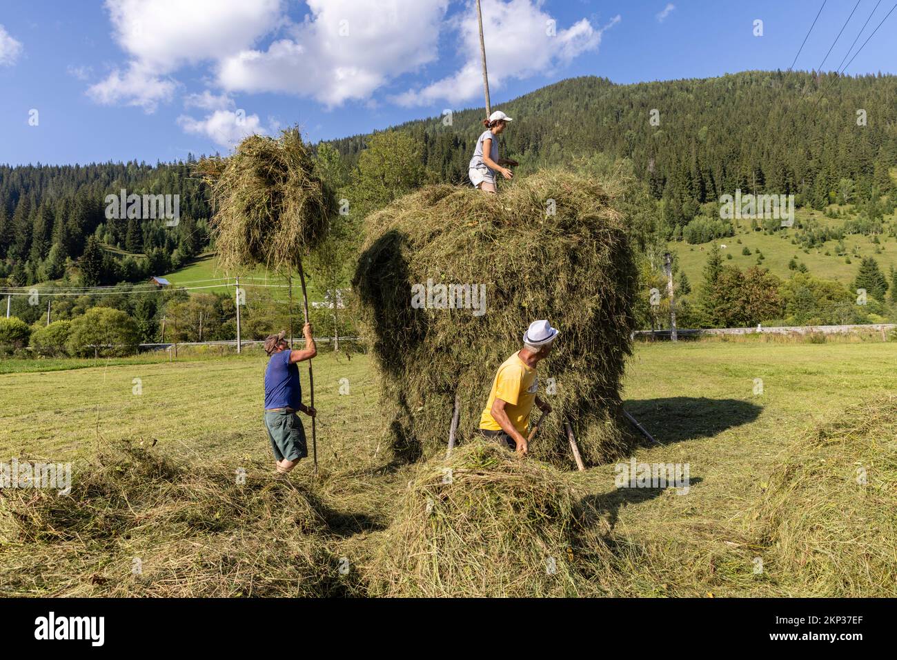 Tradizionale accatastamento di fieno nel villaggio di Ciocanesti, Bucovina, Romania Foto Stock