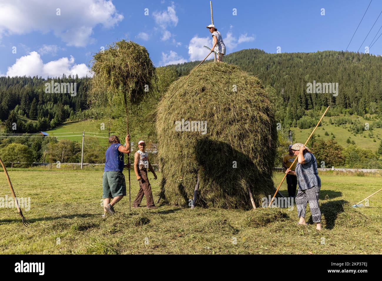 Tradizionale accatastamento di fieno nel villaggio di Ciocanesti, Bucovina, Romania Foto Stock