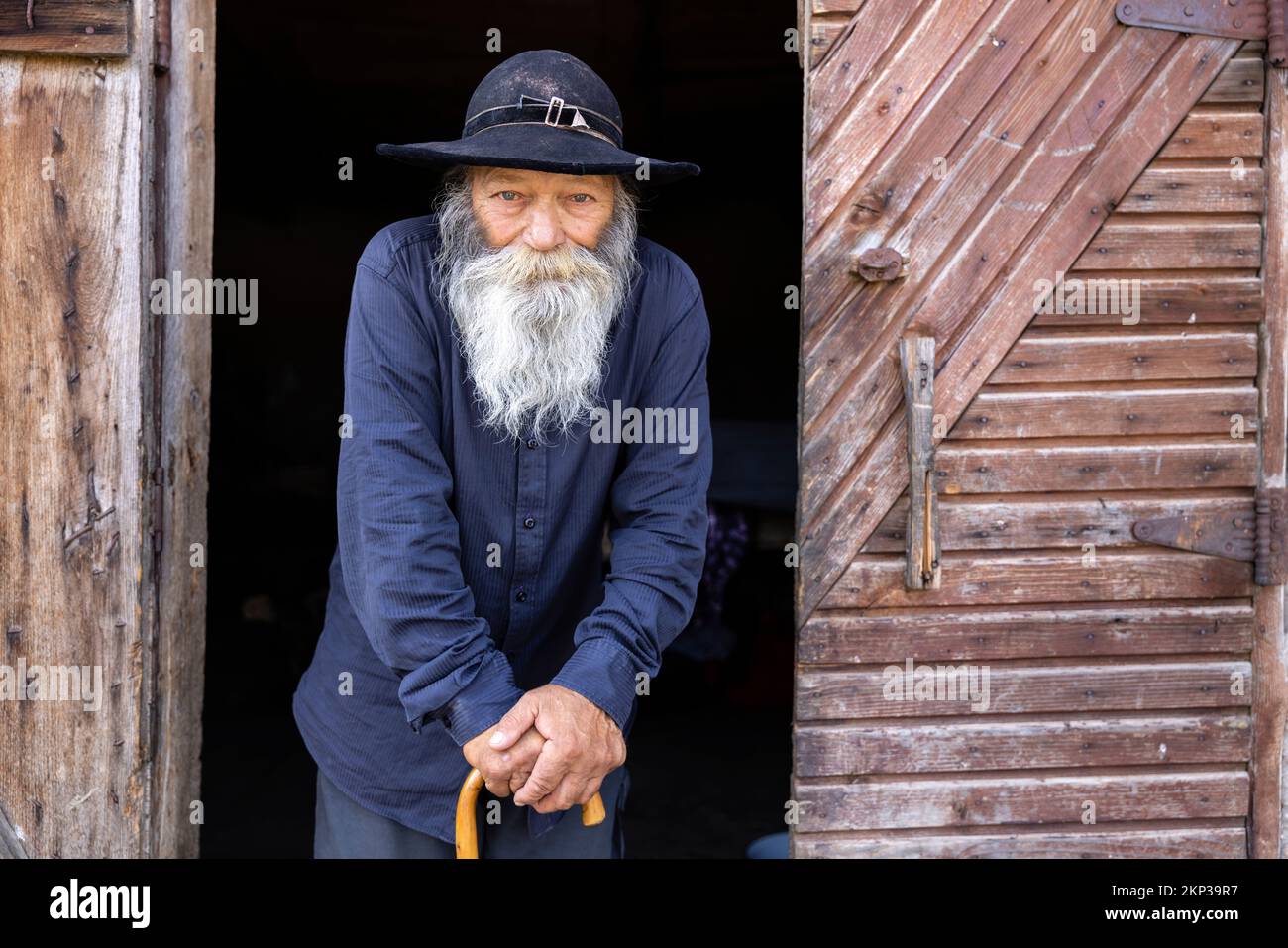 Rom Zingari nel villaggio di Brateiu, Transilvania, Romania Foto Stock