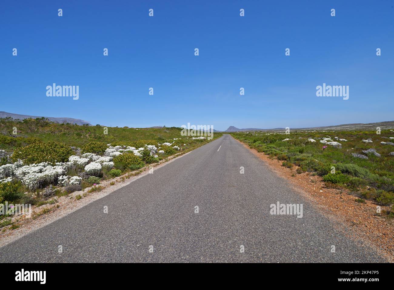 Bei viaggi, una strada vuota attraverso la campagna. Foto Stock