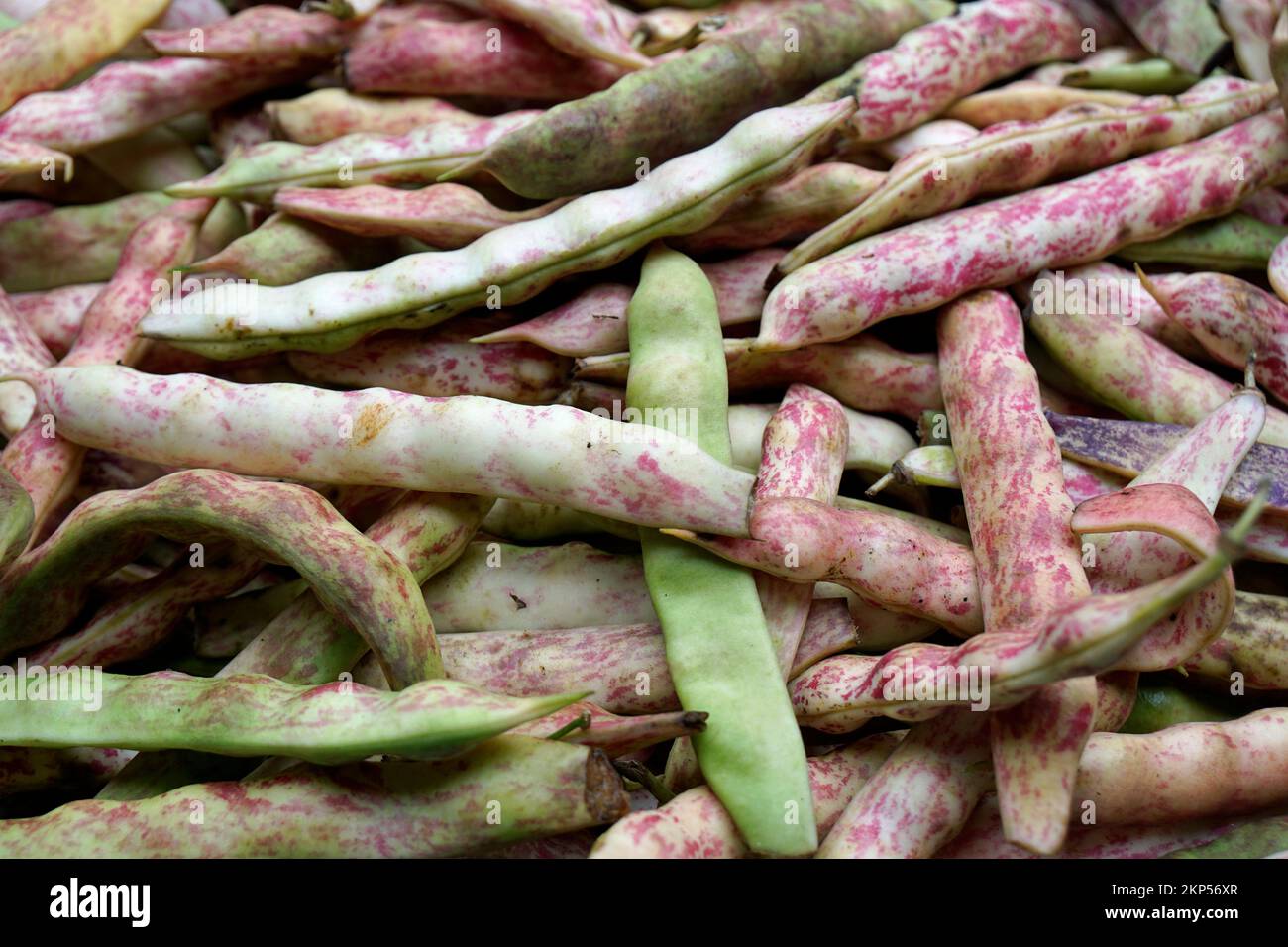ortaggi freschi sul mercato agricolo di funchal a madeira Foto Stock