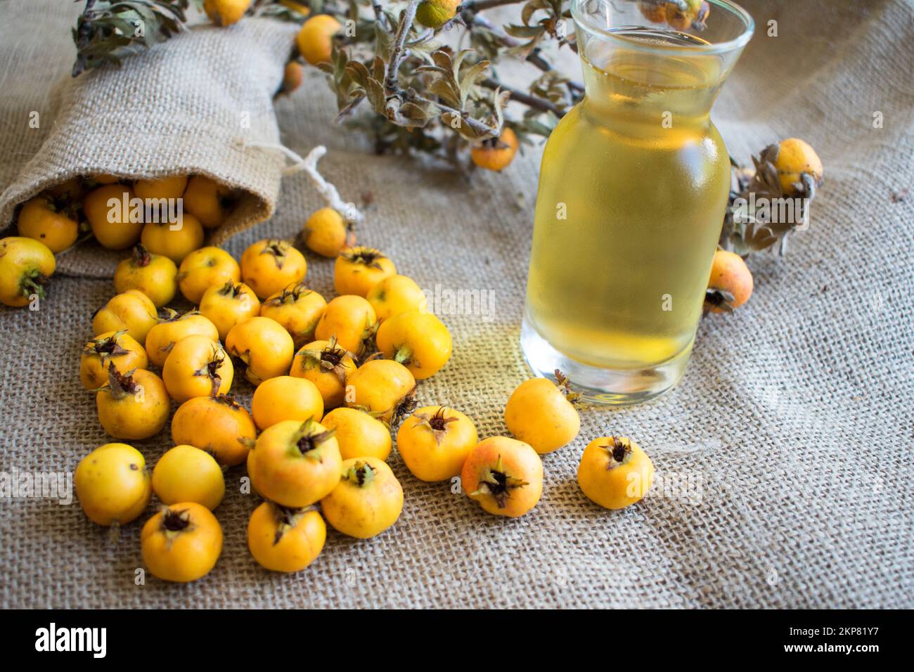 Frutta fresca di biancospino e aceto di biancospino versando dal sacco, crataegus monogyna frutti. Foto Stock