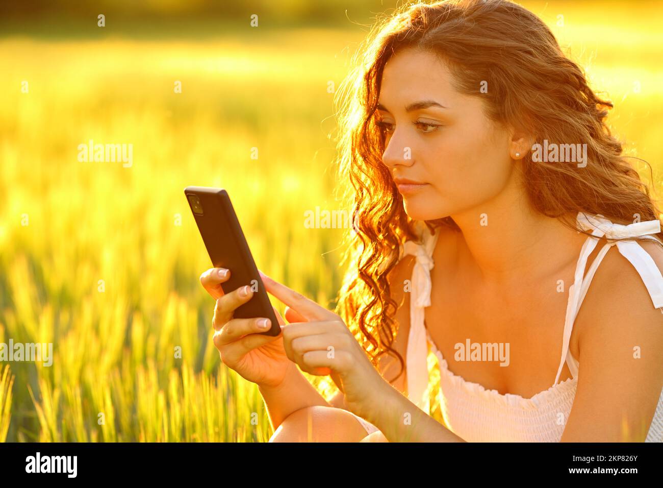 Donna controlla lo smartphone al tramonto in un campo di grano al tramonto Foto Stock