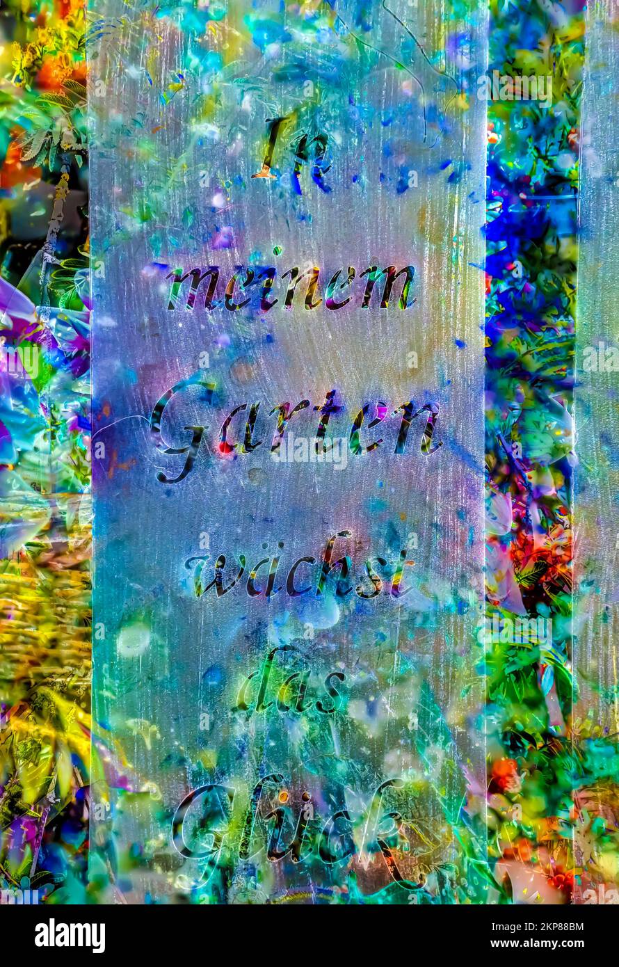 Fiori creativi, scatto artistico, testo in meinem Garten wächst das Glück, lettere, fiori alienati, piante, Germania, Europa Foto Stock