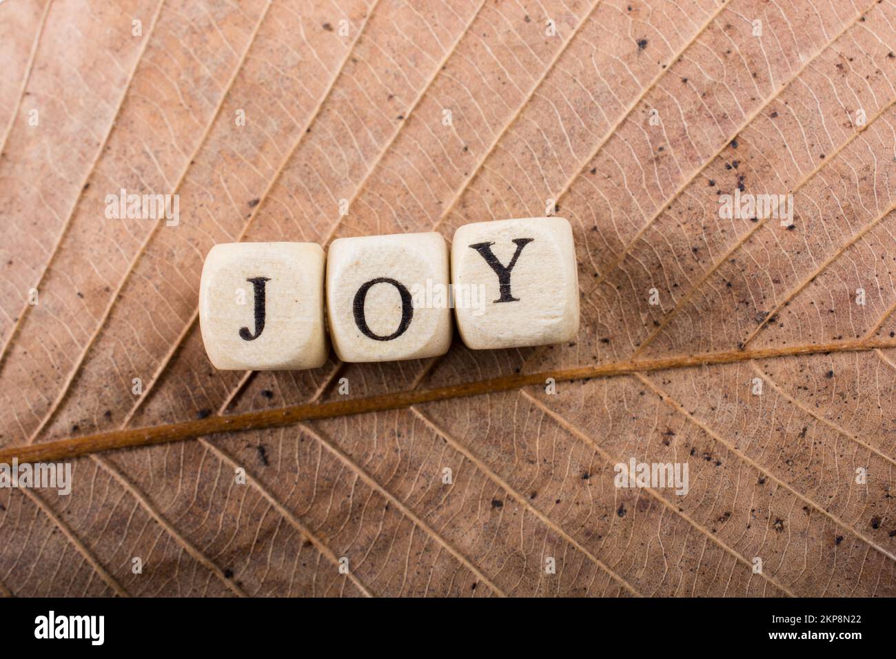 Messaggio di testo Testo della parola gioia su una foglia Foto Stock
