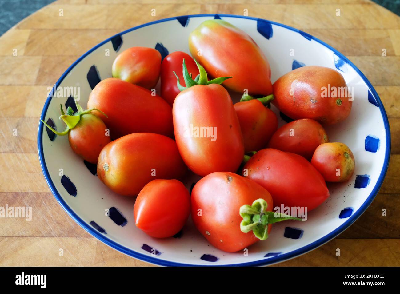 Pomodori prugniti appena raccolti - John Gollop Foto Stock