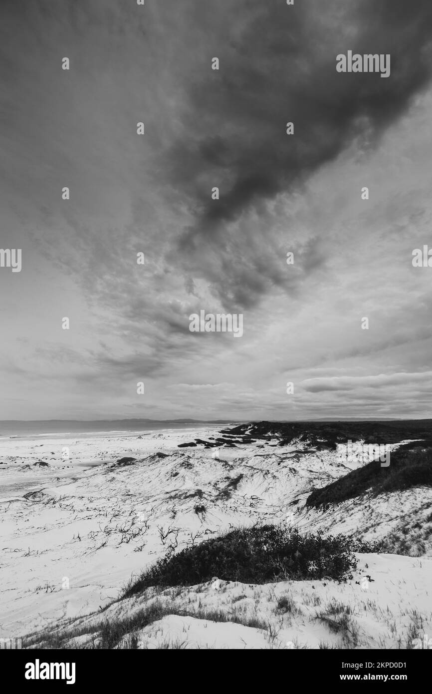 Atmosfera bianca e nera che copre una spiaggia di sabbia sotto il tempo torbido nuvoloso. Eddystone Point, costa orientale della Tasmania, Australia Foto Stock