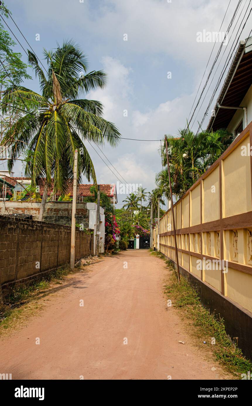 La strada di Negombo, Sri Lanka occidentale. Foto Stock