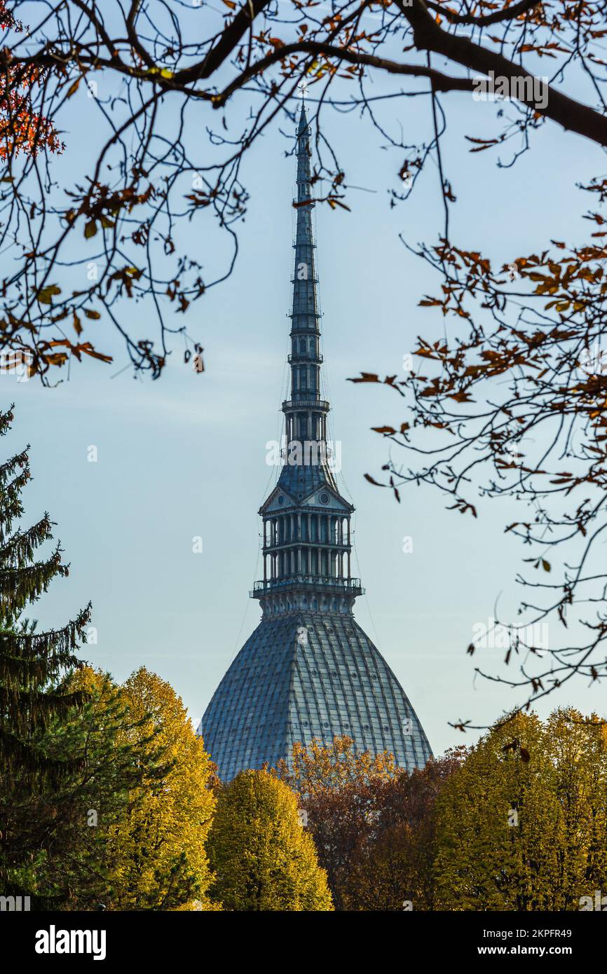 La moleantonelliana incorniciata da alberi autunnali Torino II Foto Stock