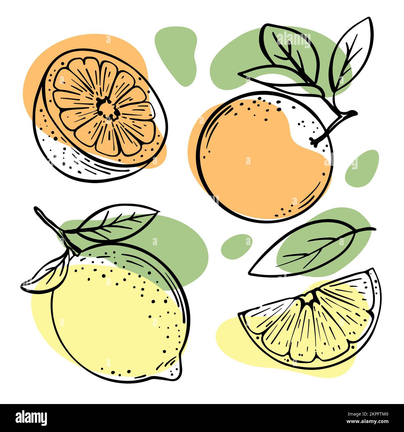 LIMONE D'ARANCIA delizioso frutta tropicale intera e fette con foglie per la progettazione di prodotti naturali biologici Negozio e Dessert bevande Sketch Vector Illust Illustrazione Vettoriale