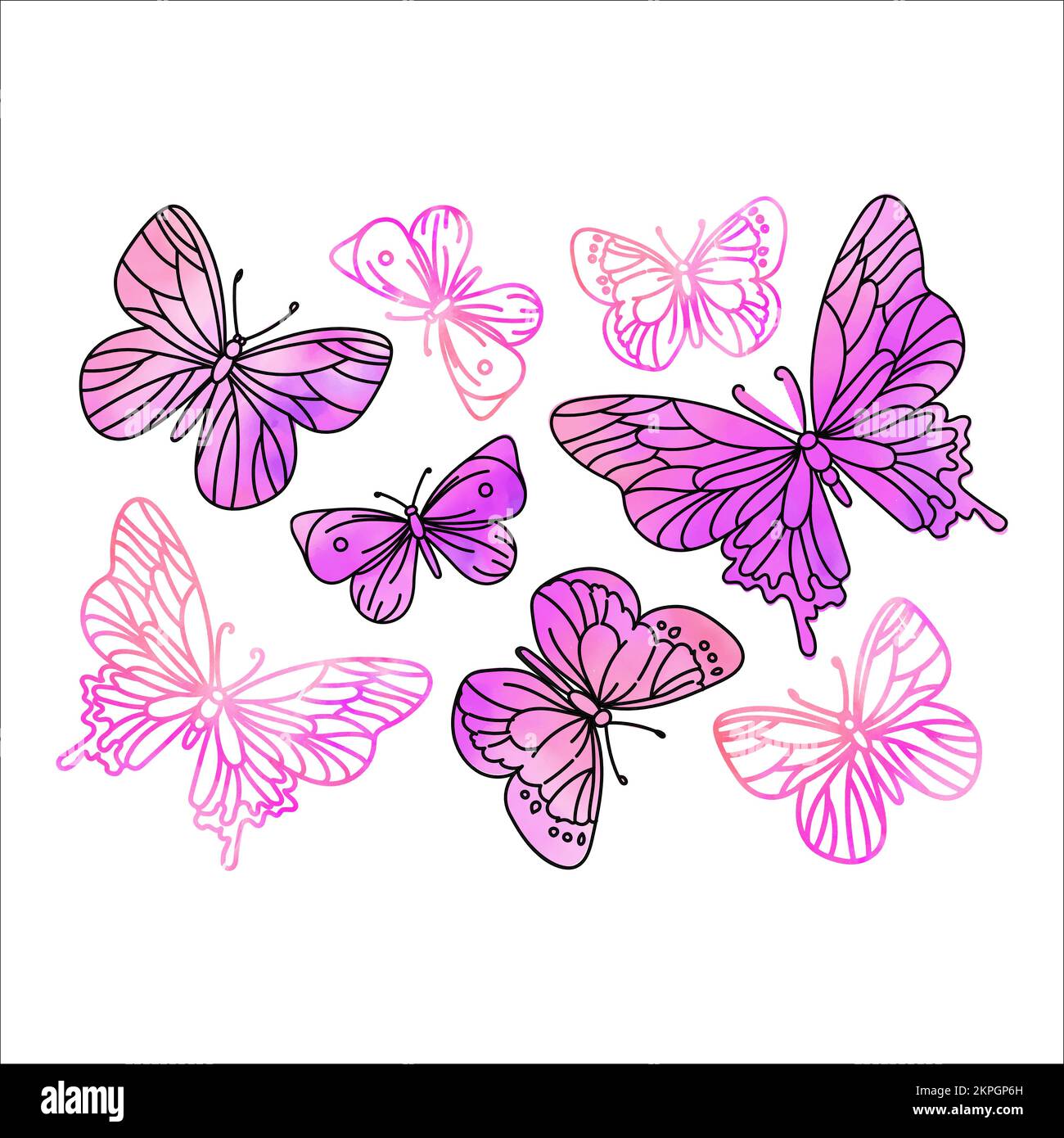 FARFALLE ROSA acquerello Insect Summer Tropical clip Art Vector Illustration Set for Print Illustrazione Vettoriale