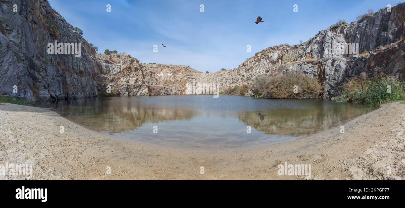 Avvoltoi che sorvolano la vecchia cava di Alcantara, ora utilizzata come piscina naturale, Caceres, Estremadura, Spagna Foto Stock