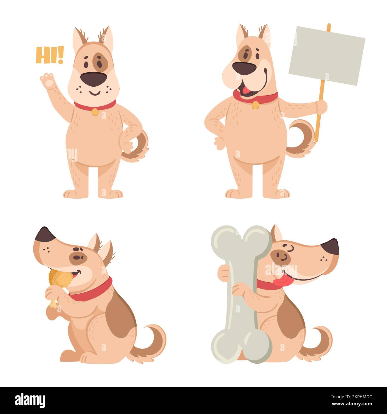 Papyrus – Biglietto D’Auguri Con Motivo Cani Misti, Bianco Interno Con Busta Oro