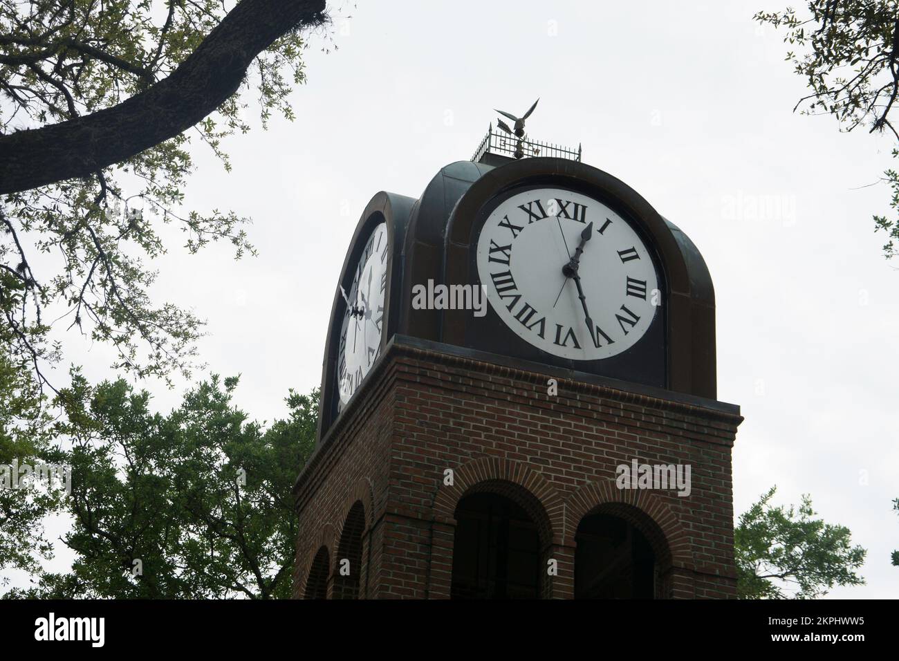 Torre dell'Orologio a Gainesville, Florida Foto Stock