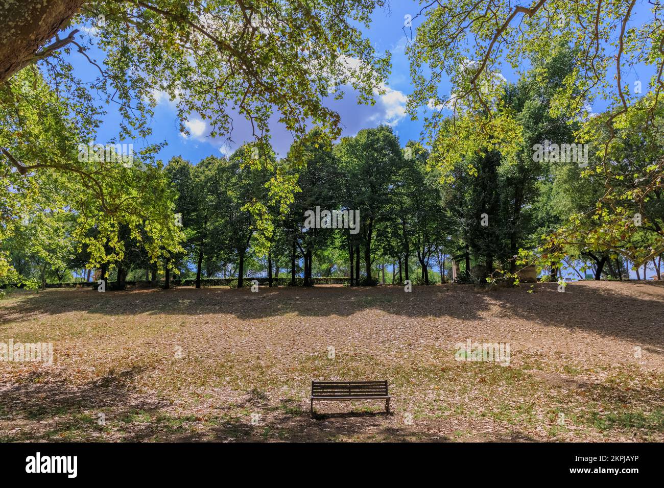 Giardino di Villa borghese a Roma: Panchina solitaria circondata da alberi. Foto Stock