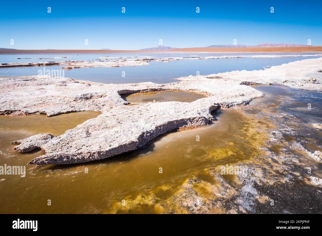 Vista panoramica della Laguna Hedionda sull'Altiplano (alta pianura), Provincia di sur Lípez, Bolivia Foto Stock