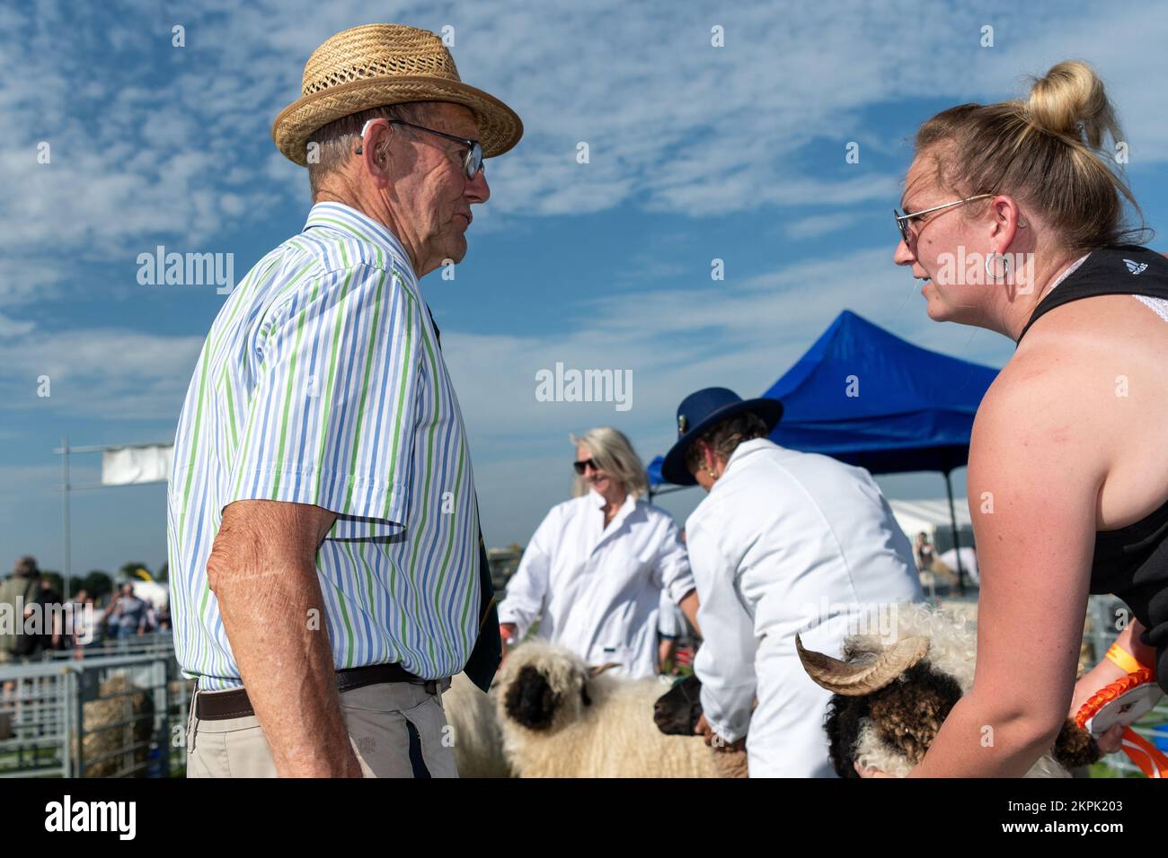 Mostra le pecore al Westmorland Show che si tiene vicino a Kendal in Cumbria nel mese di settembre. Foto Stock