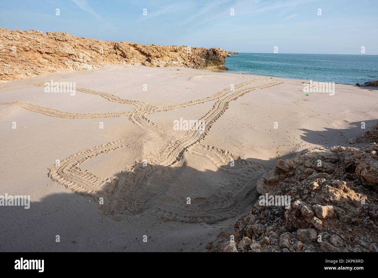 Sea Turtle tracce su una spiaggia vicino Ras al Jinz, Sultanato di Oman Foto Stock