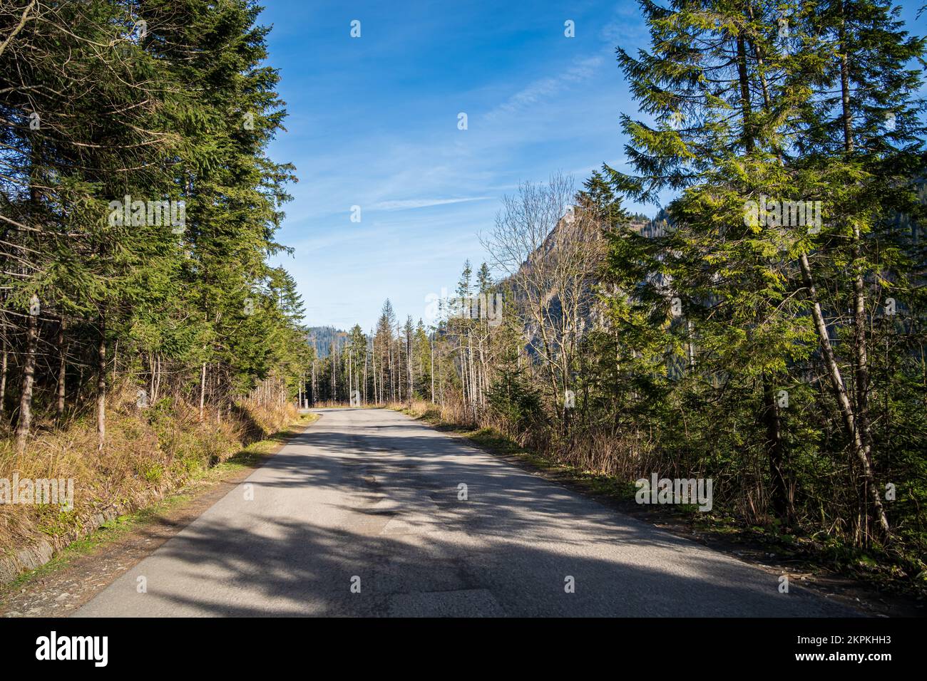 Strada per Morskie Oko o il lago Sea Eye, famoso sentiero escursionistico nel Parco Nazionale di Tatra, vicino a Zakopane, Polonia. Nessuna gente. Foto Stock