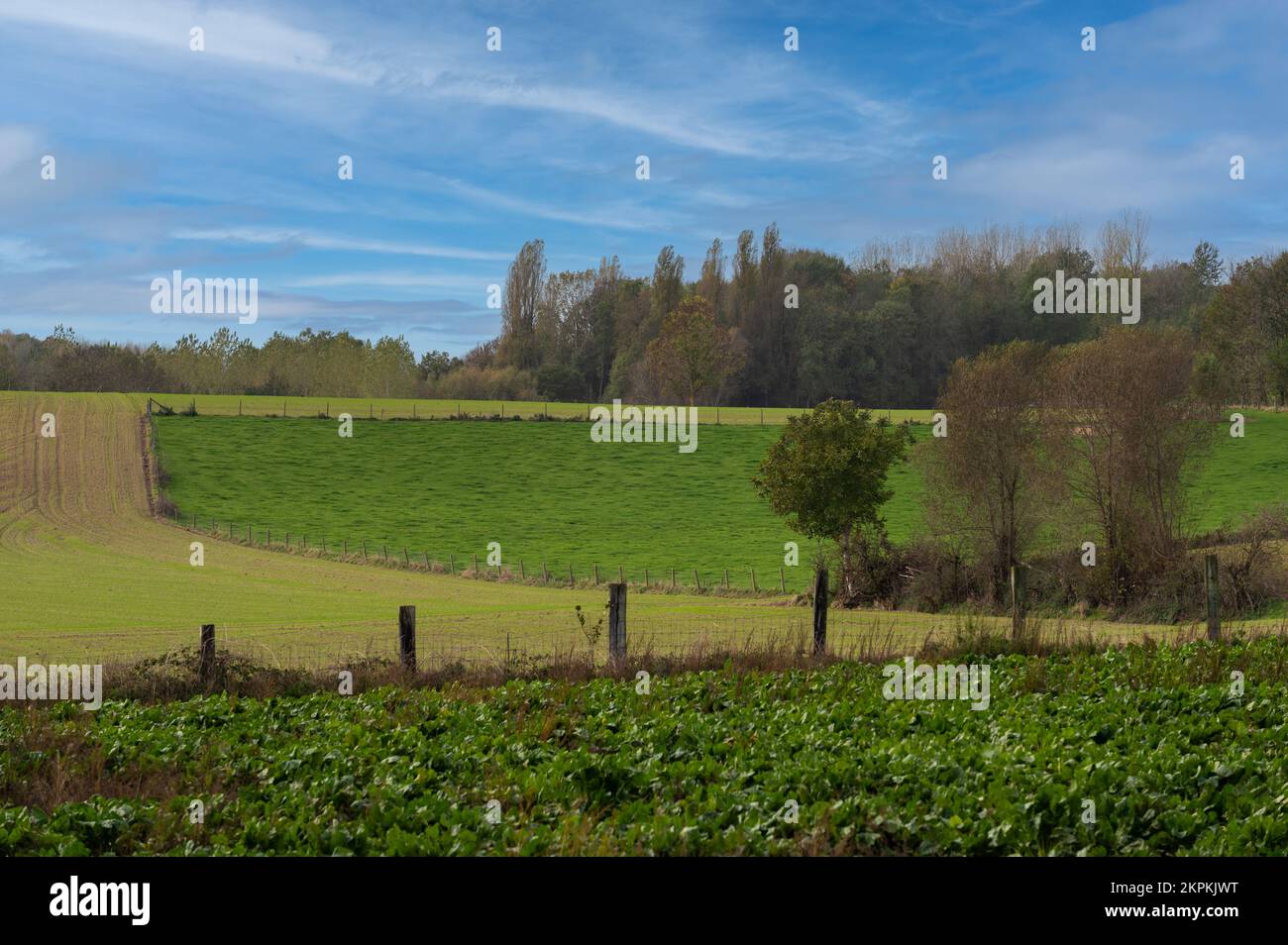 Verdi colline e campi agricoli intorno ad asse, Belgio Foto Stock