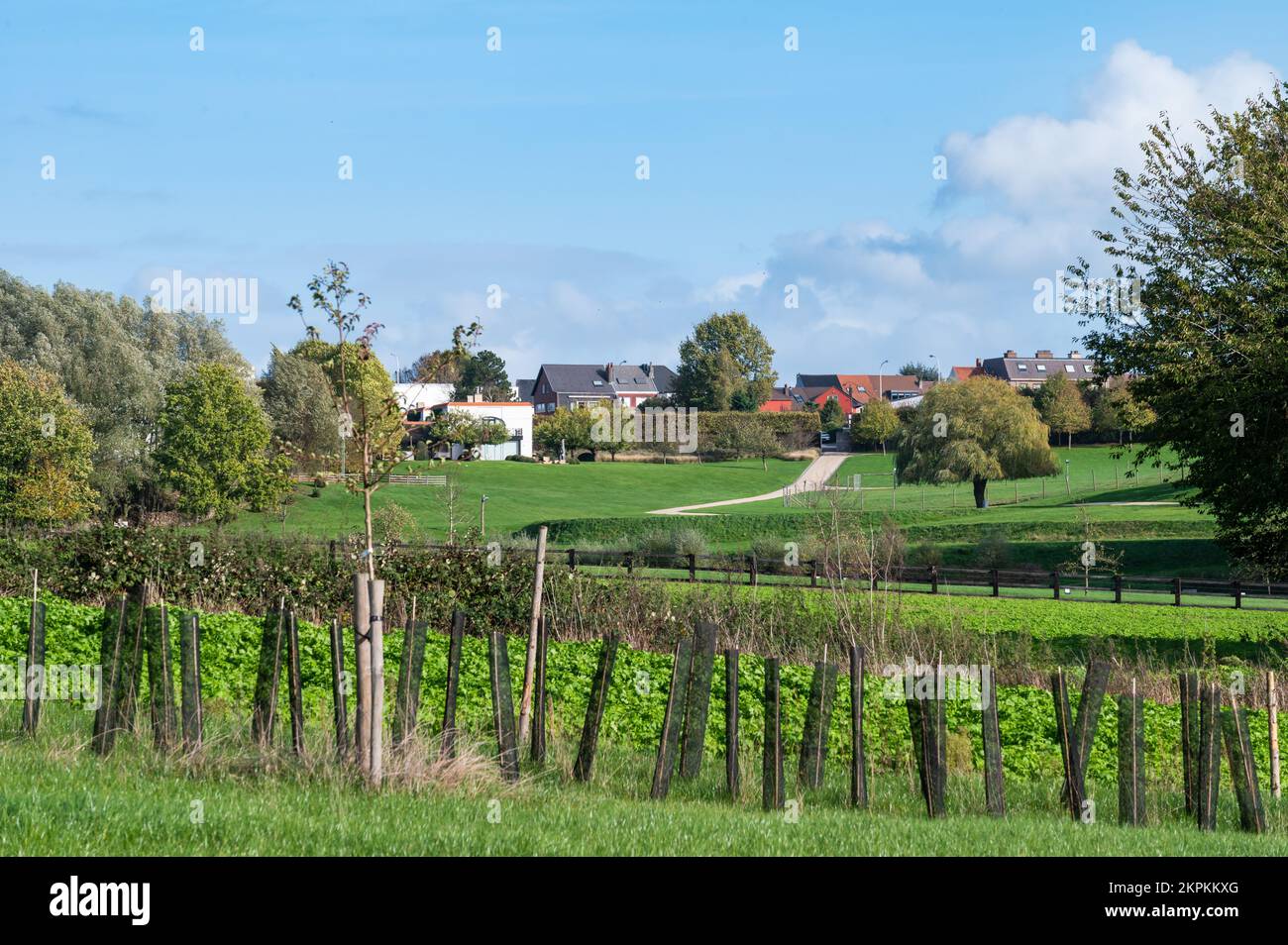 Giardini verdi e campi agricoli sulle colline della campagna fiamminga, asse, Belgio Foto Stock