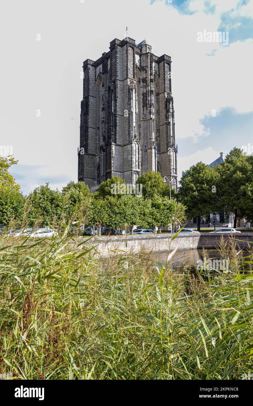 Una grande torre nella città Zierikzee nei Paesi Bassi. Foto di alta qualità da una famosa torre. Foto Stock