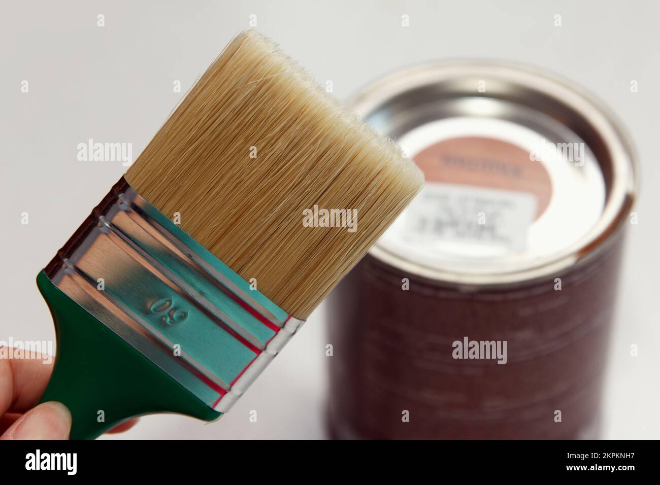 Il padrone della ragazza tiene una spazzola nuova grande e spessa per applicare la vernice ai mobili sullo sfondo di una lattina di vernice marrone. Un tale pennello dipinge il Foto Stock