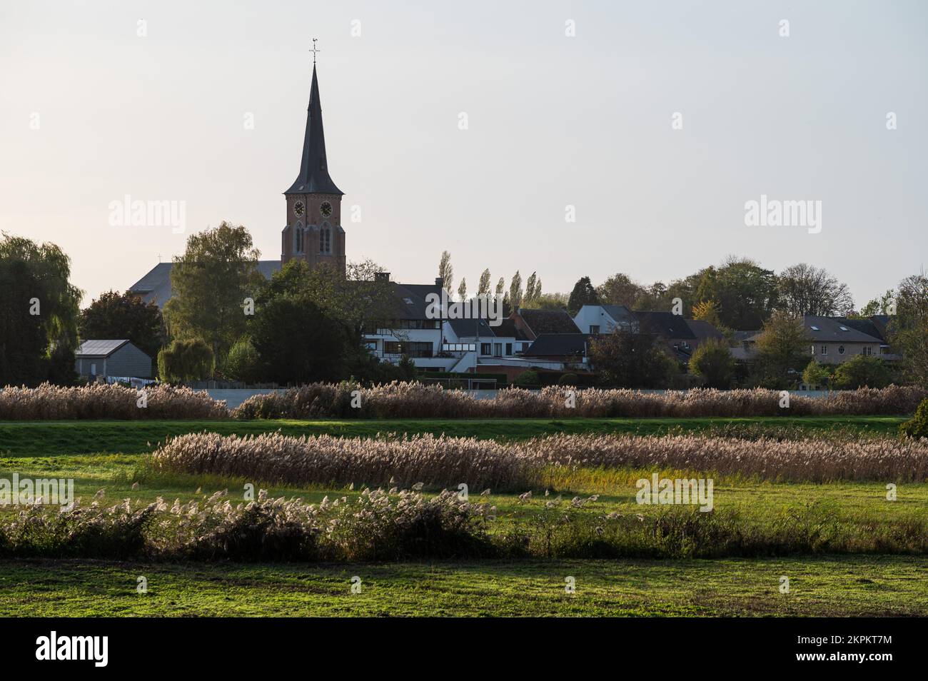 Vista sul fiume Scheldt, la vegetazione e il villaggio sullo sfondo, Berlare, Fiandre, Belgio Foto Stock