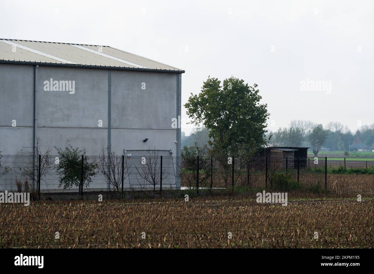 Stalla grigia e terra marrone di una fattoria nella campagna fiamminga intorno a Berlare, Belgio Foto Stock