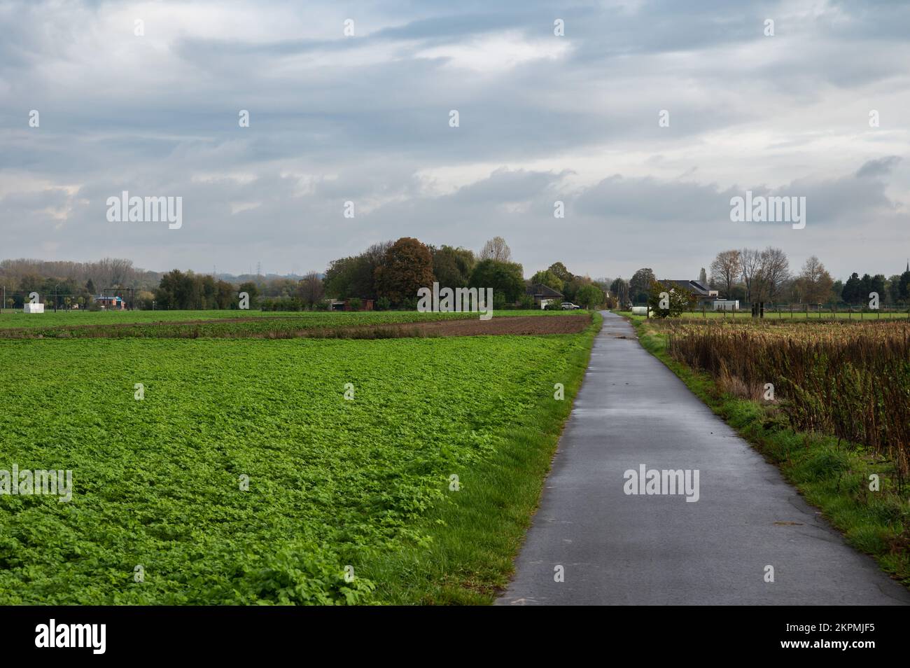 Ternat, Regione del Brabante Fiammingo, Belgio, 11 04 2022 - pista ciclabile attraverso i campi della campagna fiamminga Foto Stock