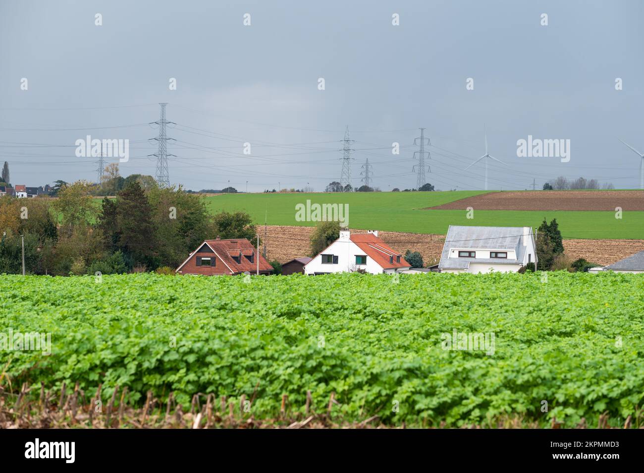 Zellik, Regione del Brabante Fiammingo, Belgio, 10 20 2022 - campi agricoli verdi e tetti residenziali nella campagna fiamminga Foto Stock