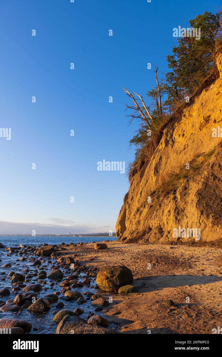 La scogliera di Orlowski e la spiaggia sul Mar Baltico all'alba a Gdynia, nel nord della Polonia. Punto di riferimento panoramico costiero composto principalmente da sabbie morene e argillose e gl Foto Stock