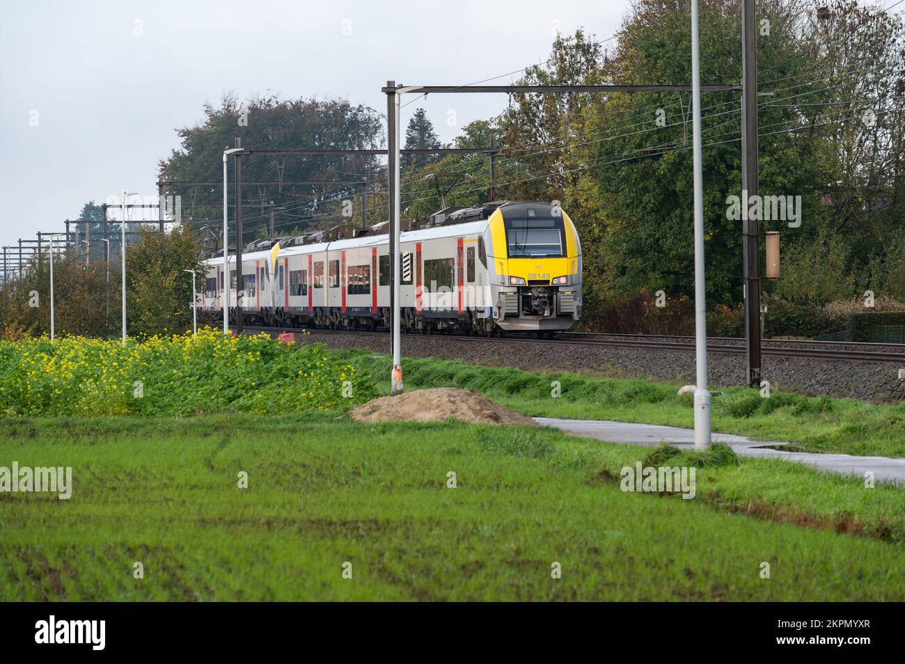 Berlare, East Flemish Region, Belgio, 11 04 2022 - treno locale che attraversa i campi verdi Foto Stock