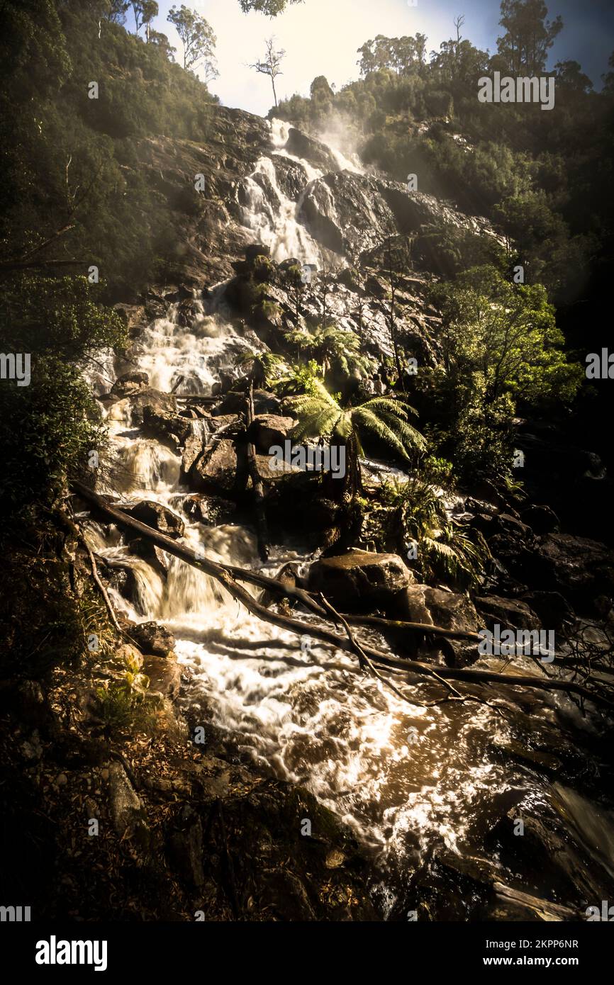La luce del sole di acqua che si estende lungo le aspre catene montuose australiane. Cascate di St Columba, nella Tasmania settentrionale, Australia Foto Stock