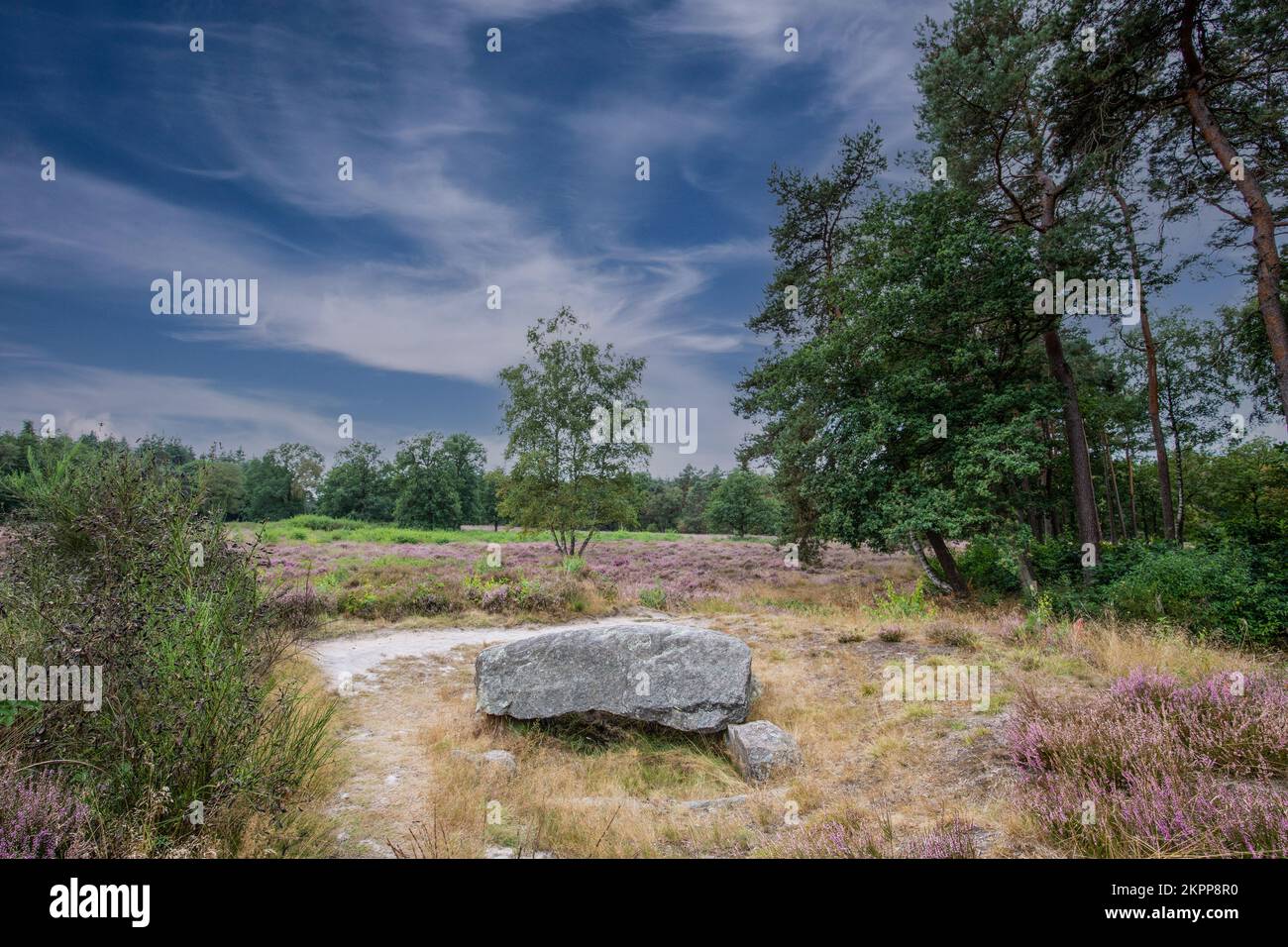 Dolmen D39, comune di Valtherbos di Emmen nella provincia olandese di Drenthe è una tomba neolitica e monumento storico protetto in un envi naturale Foto Stock