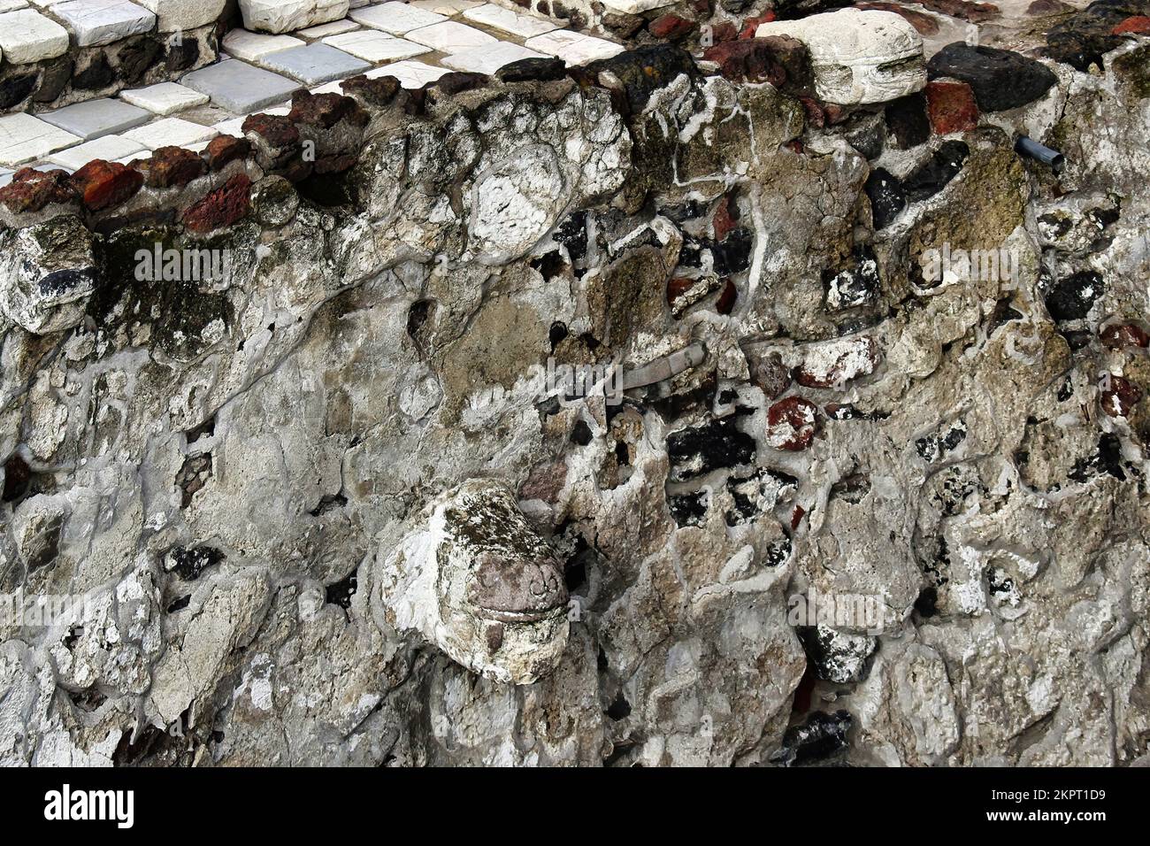 Frammento del Tempio maggiore (Templo Mayor). Rack per cranio. Particolare delle antiche rovine aztec. Foto di viaggio. Struttura di vecchie mura. Città del Messico. (1) Foto Stock