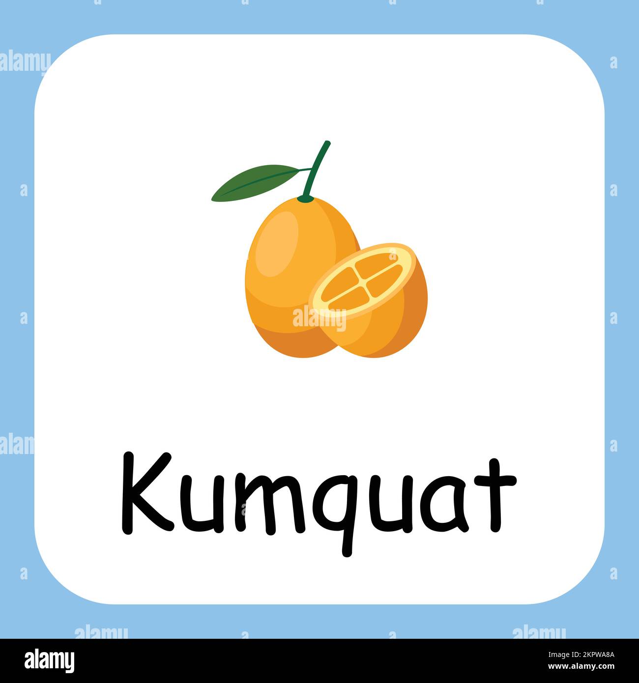 Kumquat clip art con testo, design piatto. Educazione per i bambini. Illustrazione vettoriale Illustrazione Vettoriale