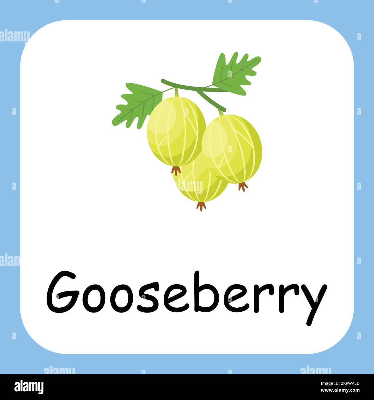 Clip art a base di gooseberry con testo, design piatto. Educazione per i bambini. Illustrazione vettoriale Illustrazione Vettoriale