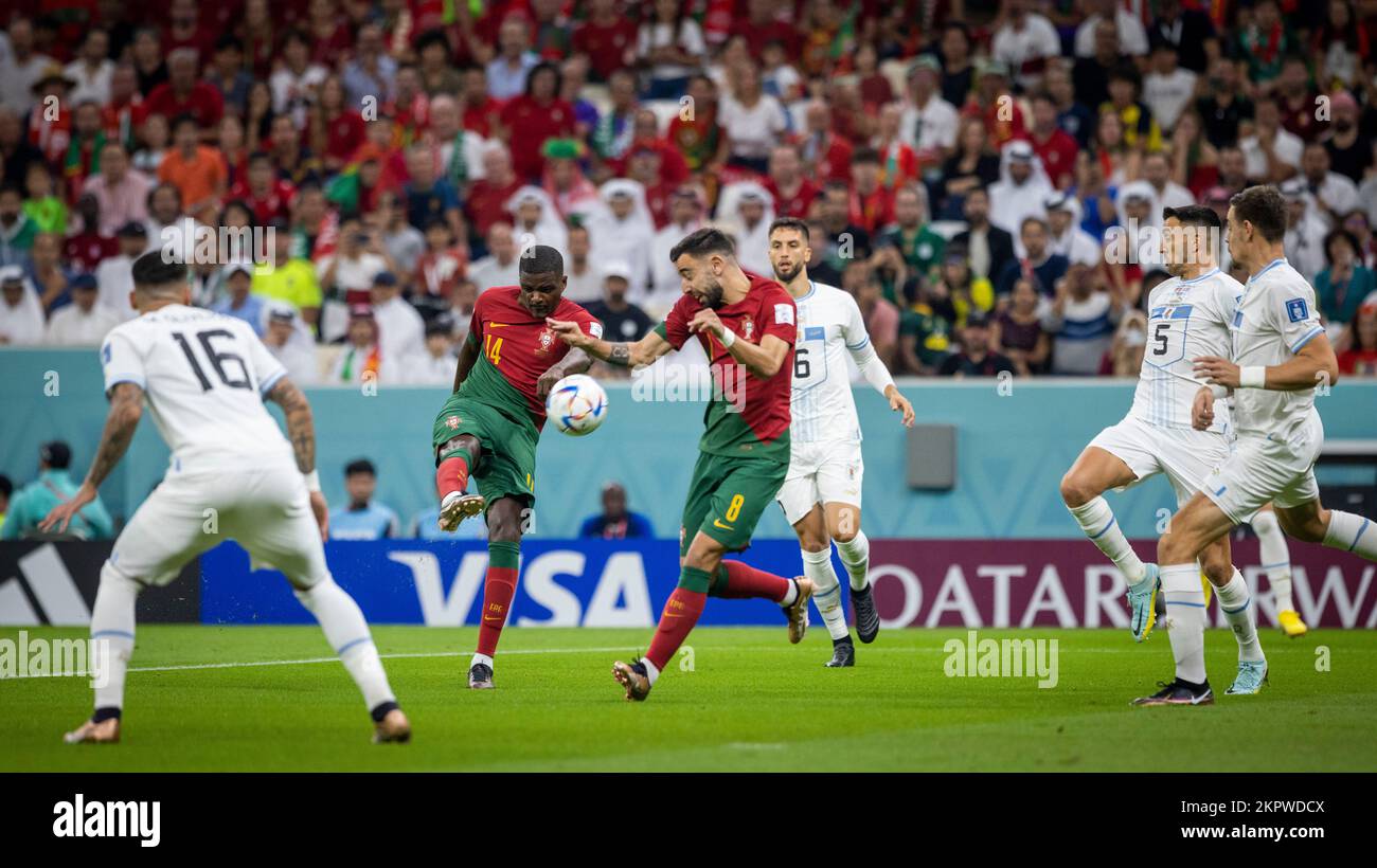 Doha, Qatar. 28th Nov 2022. William Carvalho (Portogallo), Bruno Fernandes (Portogallo) Portogallo - Uruguay Deutschland - Spanien World Cup 2022 in Qatar 28.11.2022 Credit: Moritz Muller/Alamy Live News Foto Stock