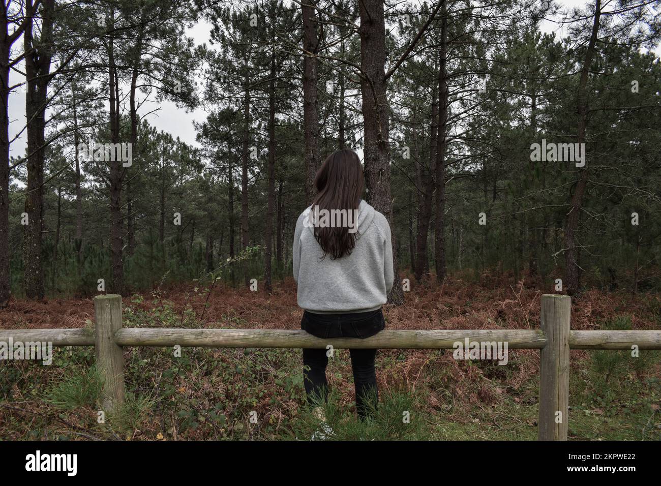 Vista posteriore di una giovane donna seduta su una recinzione in una foresta, Spagna Foto Stock